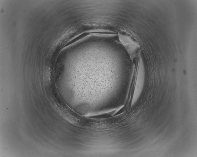 X0000080200735200612221405