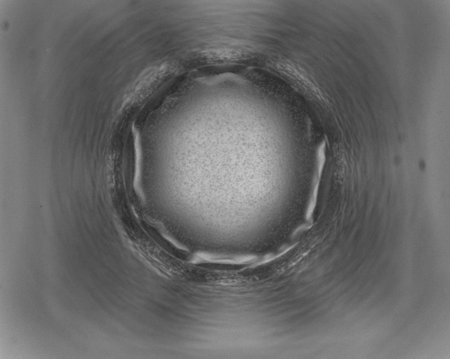 X0000080200738200612221405