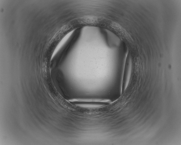 X0000080200739200612221405