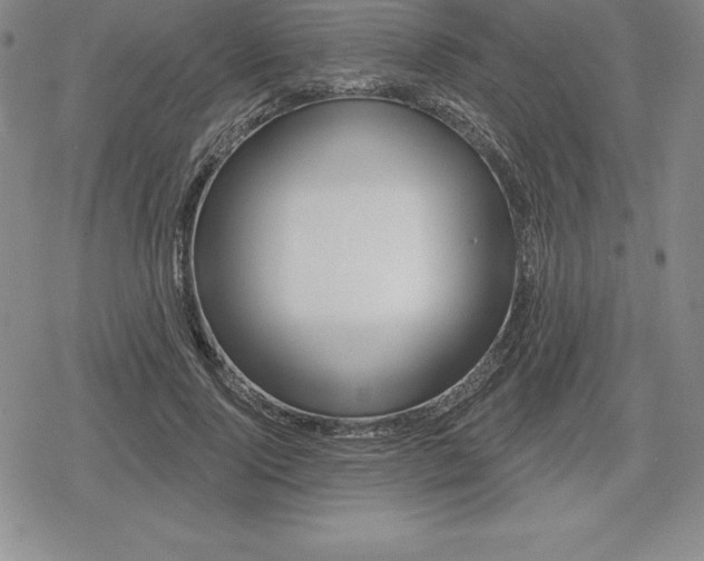 X0000080200740200612221405