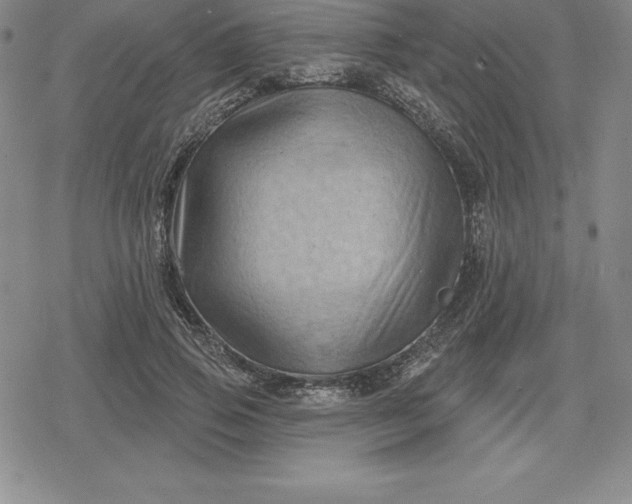 X0000080200741200612221405