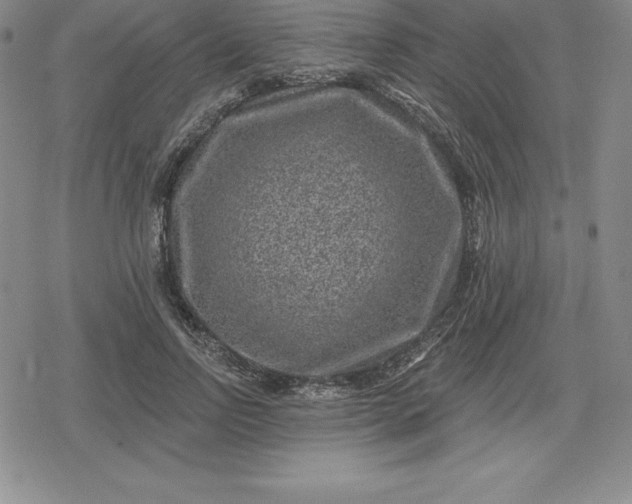 X0000080200742200612221405