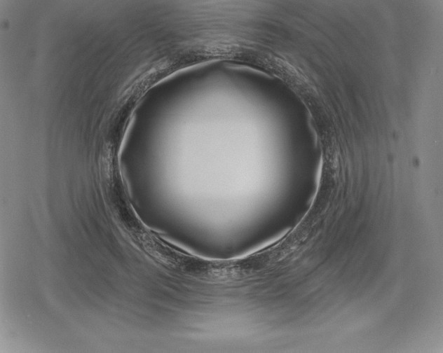 X0000080200744200612221405