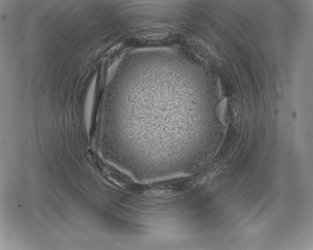 X0000080200745200612221405