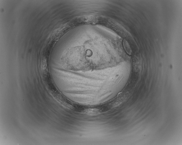 X0000080200748200612221405