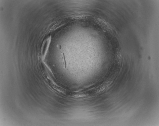 X0000080200749200612221405