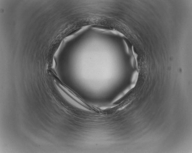 X0000080200750200612221405