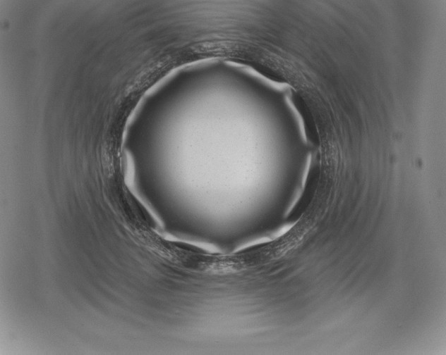 X0000080200751200612221405