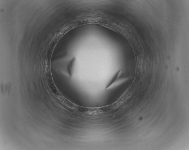 X0000080200752200612221405