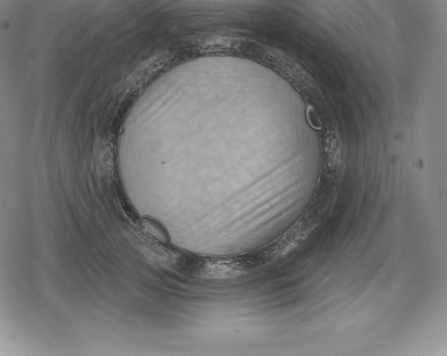 X0000080200753200612221405