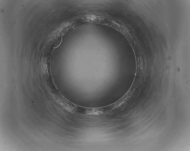 X0000080200754200612221405