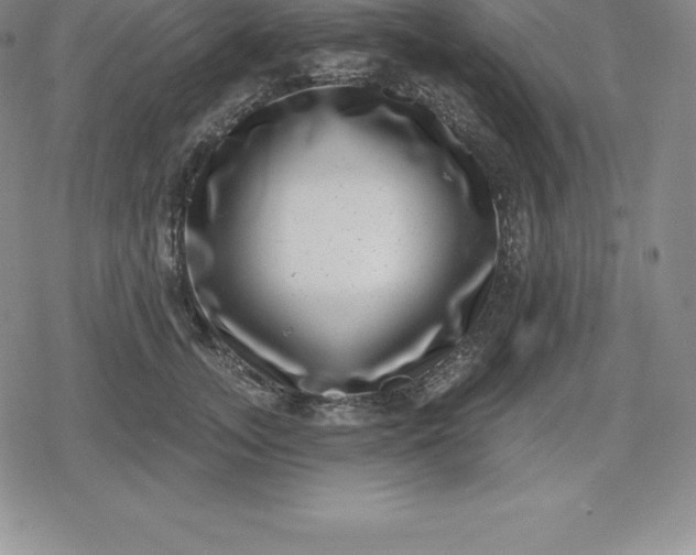 X0000080200755200612221405