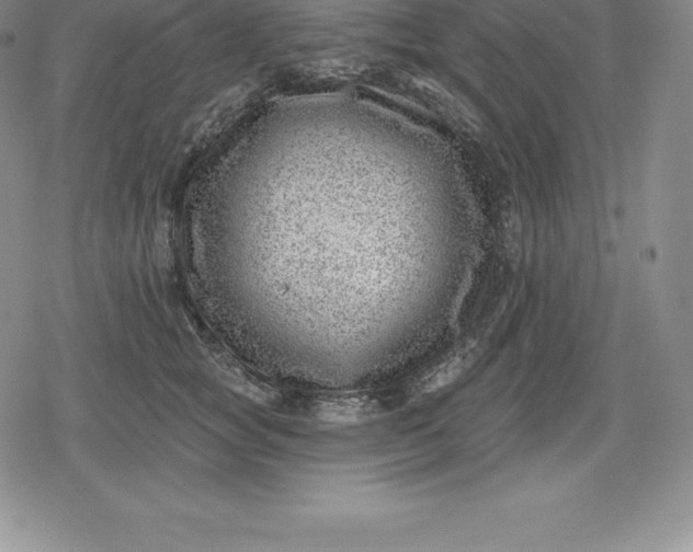 X0000080200757200612221405