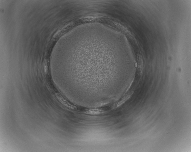 X0000080200758200612221405