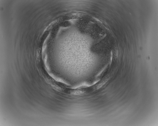 X0000080200759200612221405