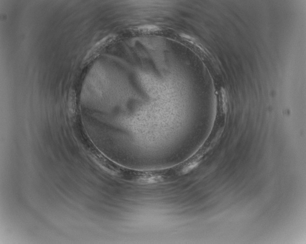 X0000080200760200612221405