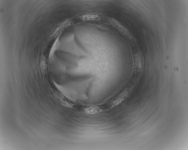 X0000080200761200612221405