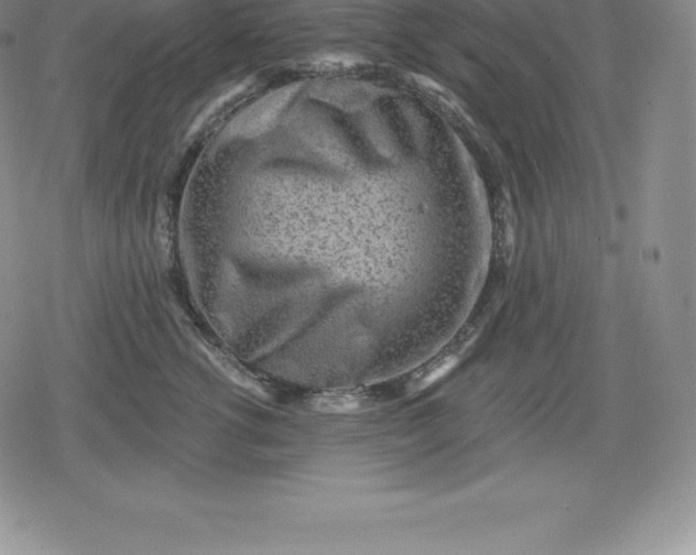 X0000080200762200612221405