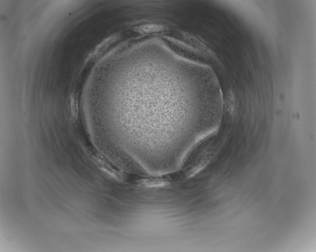 X0000080200763200612221405