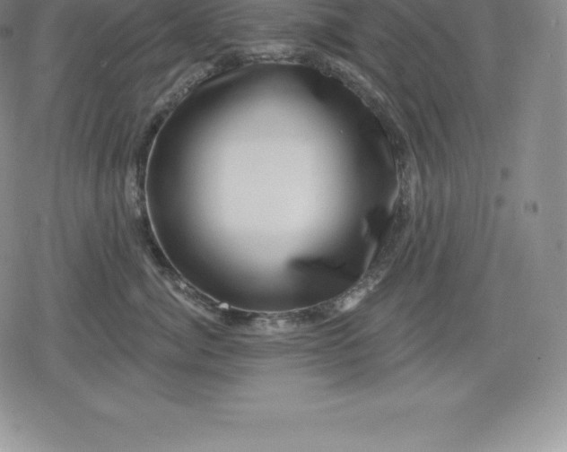 X0000080200764200612221405