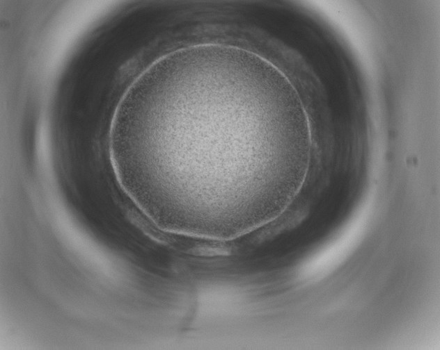 X0000080200765200612221405