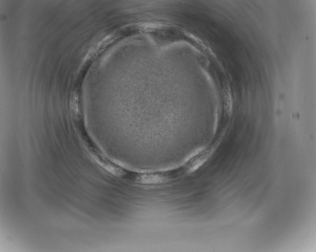 X0000080200766200612221405