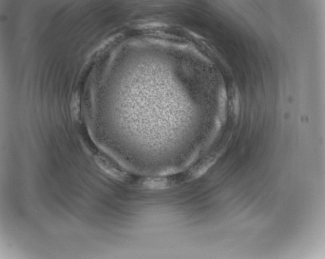 X0000080200767200612221405