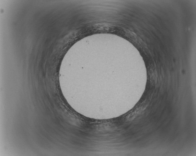 X0000080200769200612221405