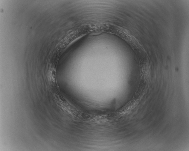 X0000080200770200612221405