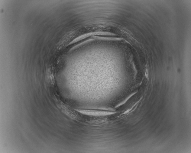 X0000080200771200612221405