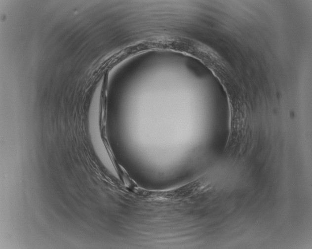 X0000080200773200612221404