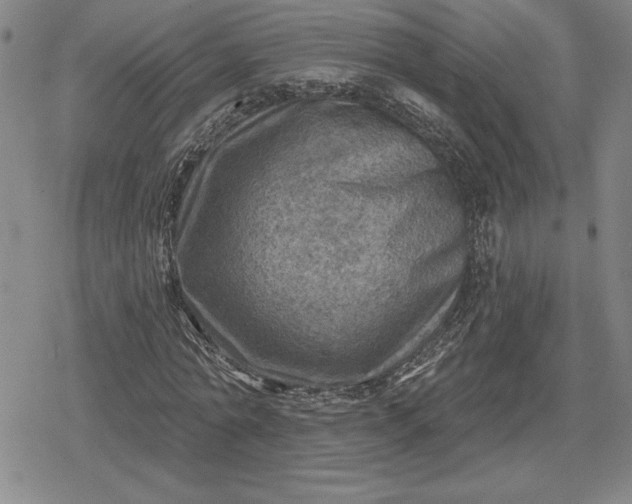 X0000080200774200612221404