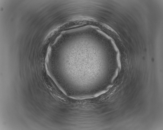 X0000080200775200612221404