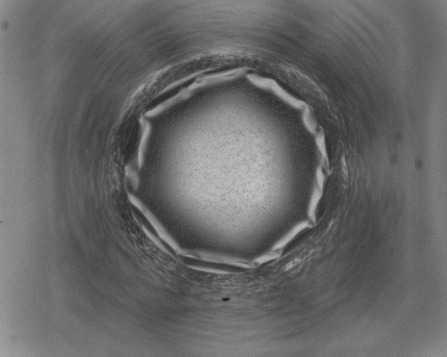 X0000080200776200612221404