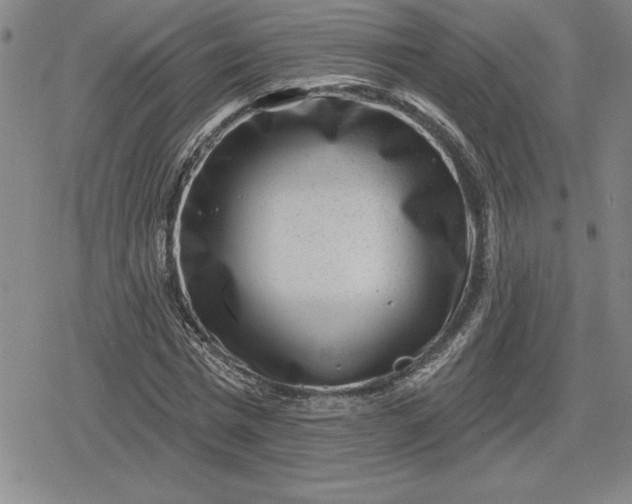 X0000080200777200612221404