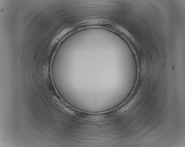 X0000080200778200612221404