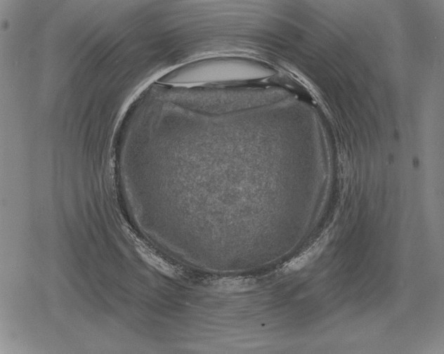 X0000080200779200612221404