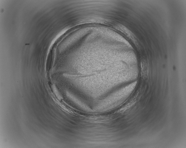 X0000080200780200612221404