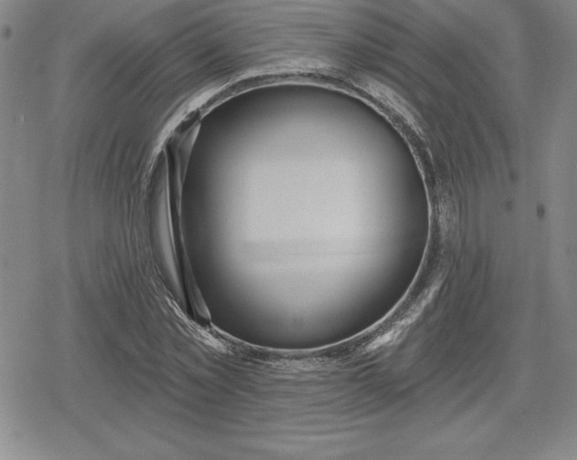 X0000080200781200612221404