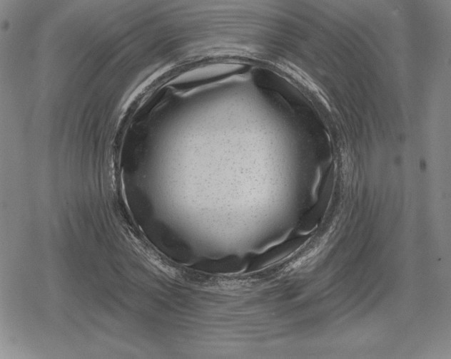 X0000080200782200612221404