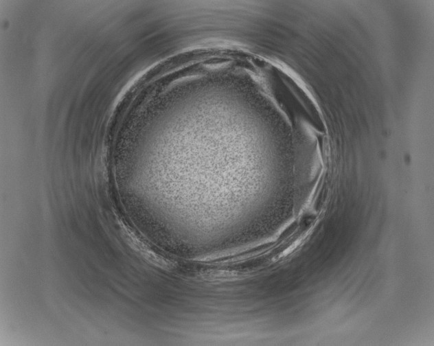 X0000080200783200612221404