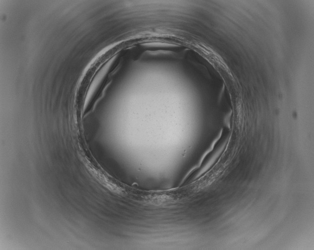 X0000080200784200612221404