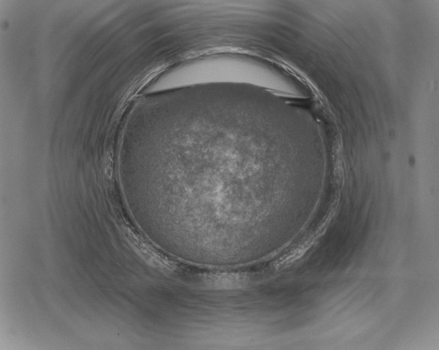 X0000080200785200612221404