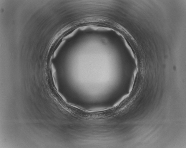 X0000080200786200612221404