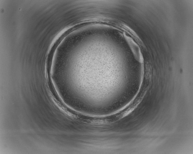 X0000080200788200612221404