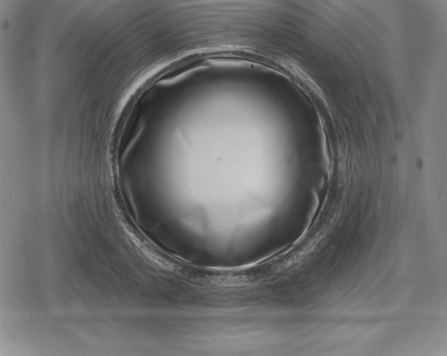 X0000080200789200612221404