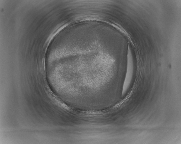 X0000080200790200612221404