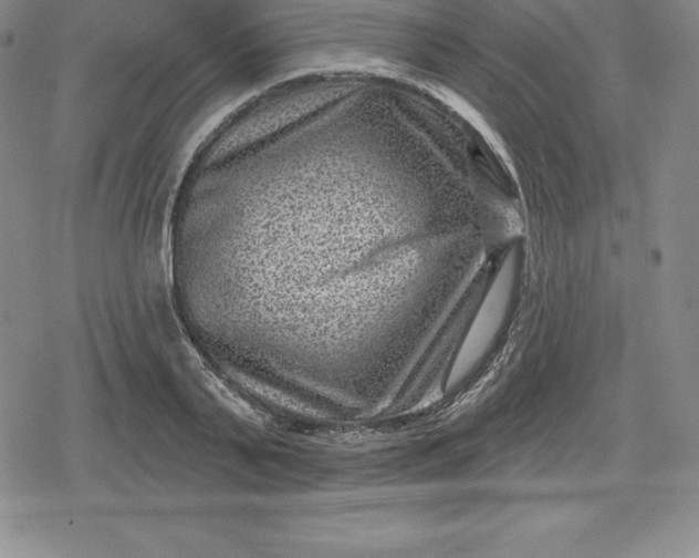 X0000080200791200612221404