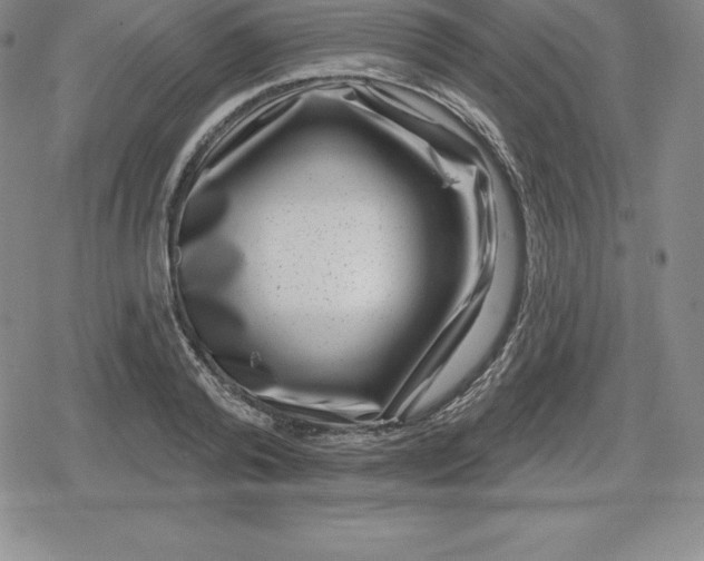 X0000080200792200612221404