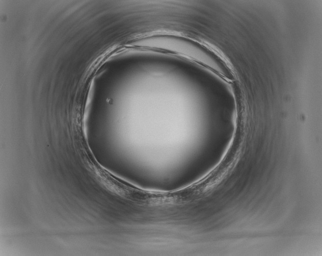 X0000080200793200612221404